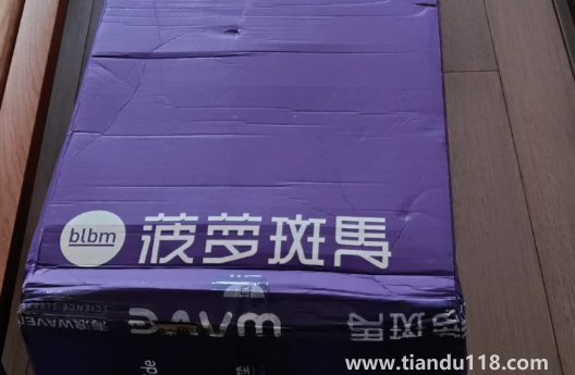 藍(lán)盒子和菠蘿斑馬哪個好2