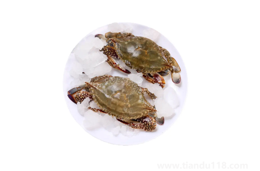 昨天買(mǎi)的梭子蟹今天不動(dòng)了能吃嗎（活的梭子蟹怎么保存）
